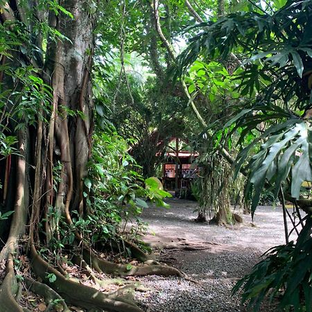Brigitte'S Ranch Hotel Cahuita Exterior foto
