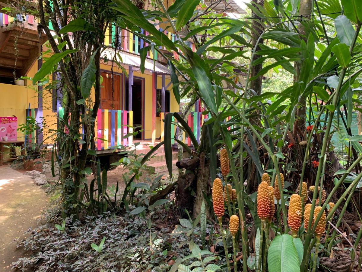 Brigitte'S Ranch Hotel Cahuita Exterior foto