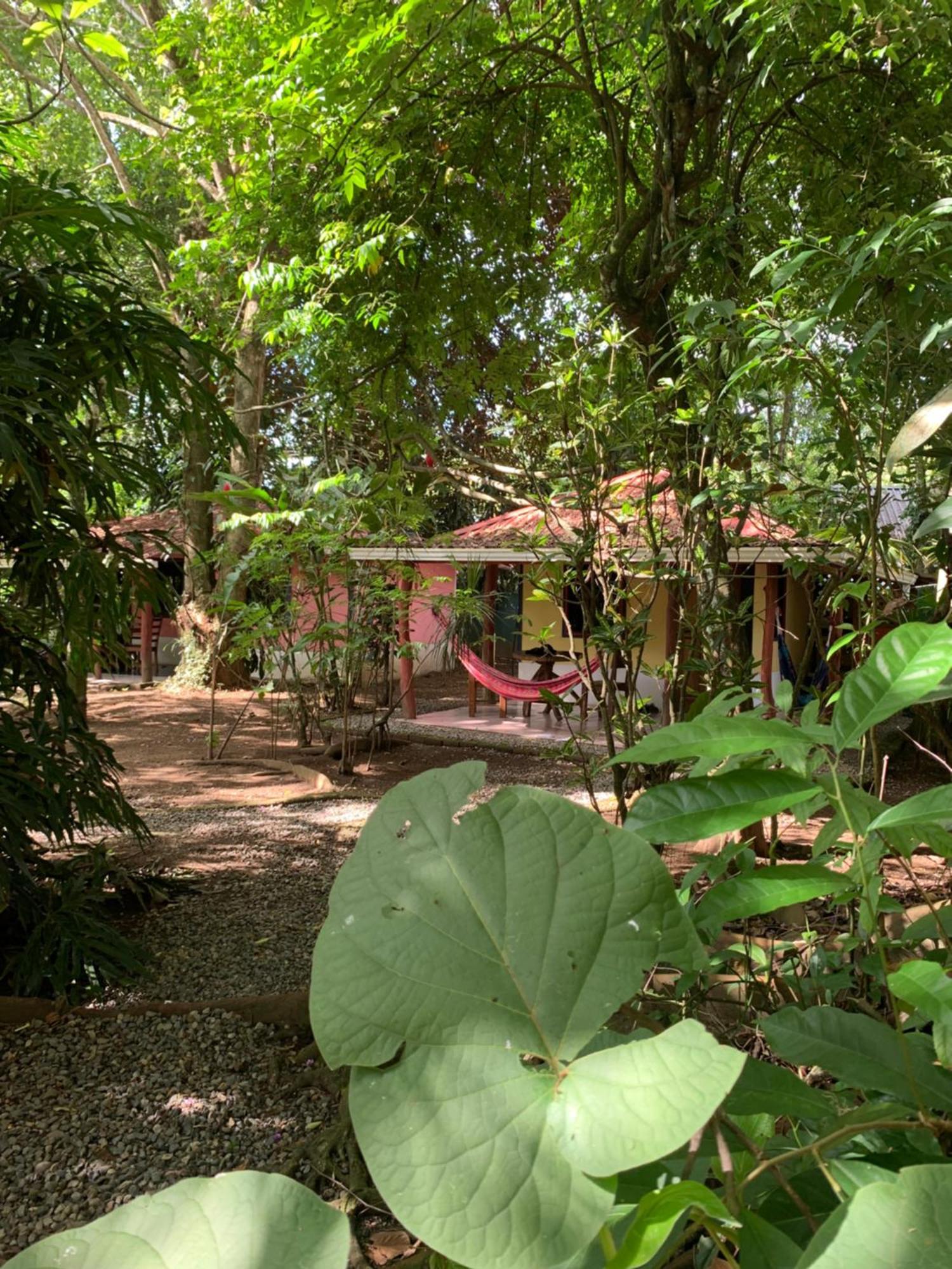 Brigitte'S Ranch Hotel Cahuita Exterior foto