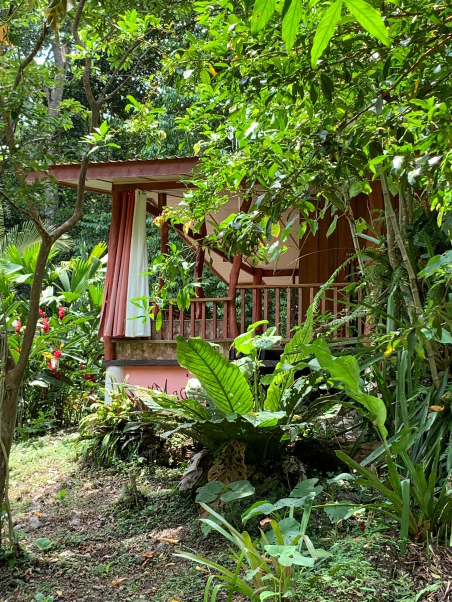 Brigitte'S Ranch Hotel Cahuita Exterior foto