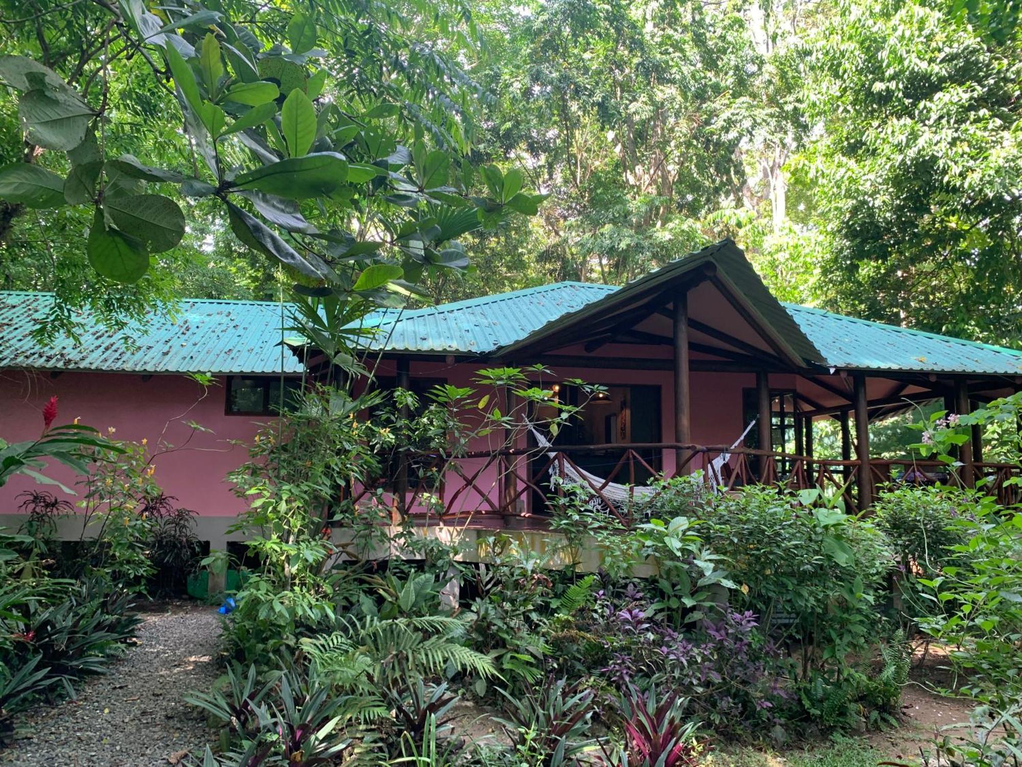 Brigitte'S Ranch Hotel Cahuita Exterior foto
