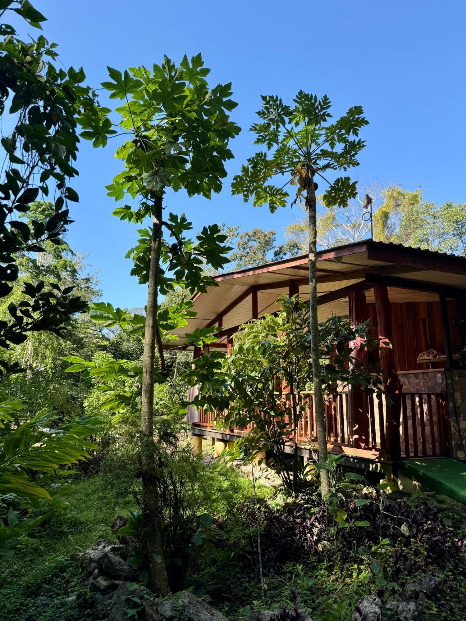 Brigitte'S Ranch Hotel Cahuita Exterior foto