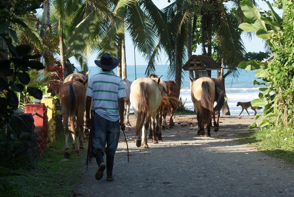 Brigitte'S Ranch Hotel Cahuita Quarto foto